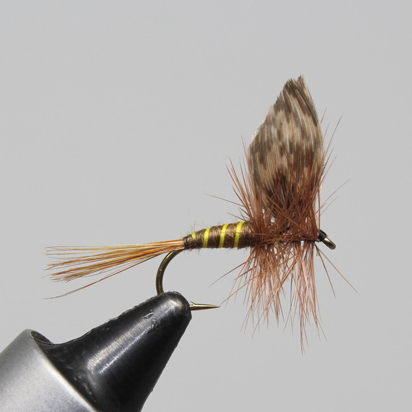 American March Brown – Little Fort Fly and Tackle