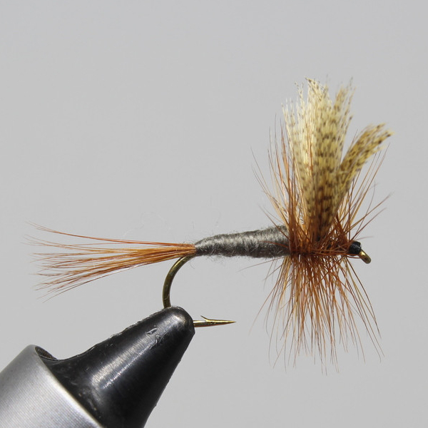 Dark Cahill – Little Fort Fly and Tackle