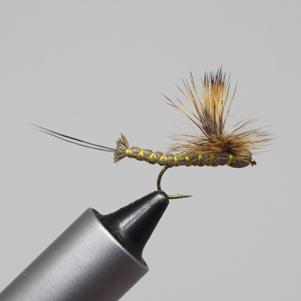 Paradrake – Little Fort Fly and Tackle
