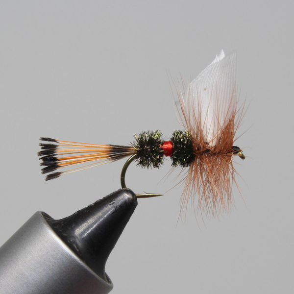 Royal Coachman – Little Fort Fly and Tackle