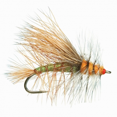 Stimulator – Olive – Little Fort Fly and Tackle